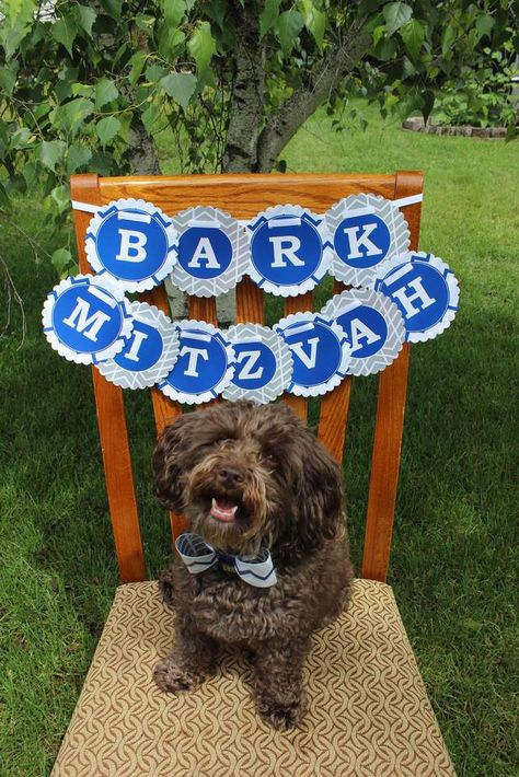 Bark Mitzvah, Dog Parties, Jewish Learning, Bat Mitzvah Party, Got Party, Dog Birthday Party, Calendar Ideas, Dog Party, Puppy Party