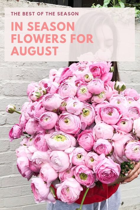 August Flowers In Season, Flowers In Season, August Flowers, Cherry Red Color, Month Of August, Wax Flowers, Seasonal Flowers, Little Flowers, Ranunculus