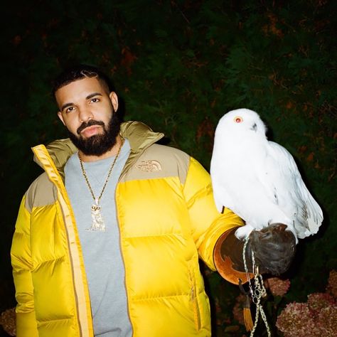 @champagnepapi on Instagram: “As wise as the old owl but still the gold child. Thank you for all your love and well wishes.” Drake And Taylor, Drake Album Cover, Certified Lover Boy, Drakes Album, Drizzy Drake, Drake Ovo, Hip Hop Music Videos, Drake Graham, Aubrey Drake