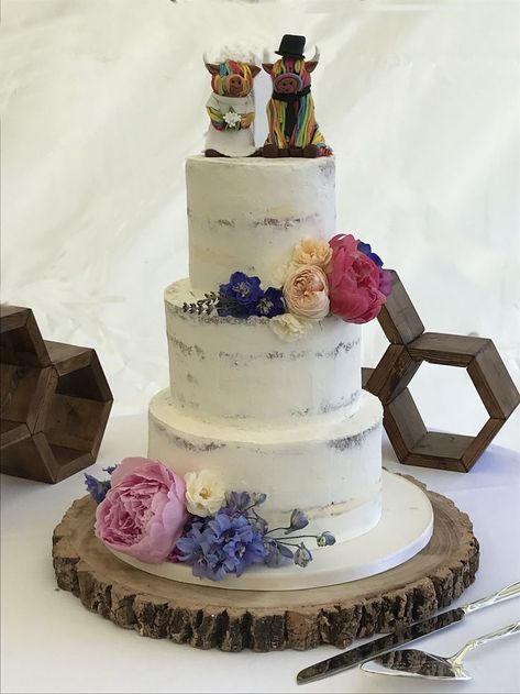 3 tier Semi Naked wedding cake decorated with fresh summer flowers and a handmade Highland Cow bride & groom topper Highland Cow Wedding, Cow Wedding Cake, Cow Wedding, Semi Naked Wedding Cake, Cow Cakes, Highland Wedding, Groom Wedding Cakes, Wedding Cakes With Cupcakes