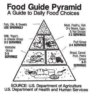 The food pyramid developed by the U.S. Department of Agriculture. (Reproduced by permission of the U.S. Department of Agriculture.) Nutrition Crafts For Kids, Food Triangle, Pyramid Food, Vegan Food Pyramid, Nutrition Pyramid, Preschool Food, Nutrition Activities, Dry Beans, Food Pyramid