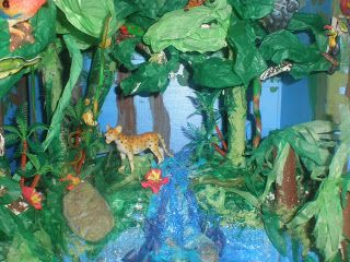 Mariposa Mama: Rainforest Diorama Project Rainforest Diorama, Water Cycle Model, Rainforest Crafts, Rainforest Art, Rainforest Project, Biomes Project, Rainforest Biome, Diorama Project, Diorama Kids