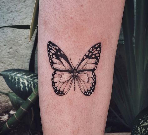 Red Admiral Butterfly Tattoo, Admiral Butterfly Tattoo, Red Admiral Butterfly, Admiral Butterfly, Tattoo Feminina, Butterfly Tattoo, Lotus Flower Tattoo, Flower Tattoo, Tattoos