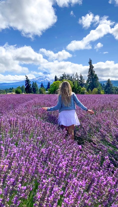 Lavender Farm Pictures, Oregon Girl Aesthetic, Lavender Girl Aesthetic, Lavender Farm Photoshoot, Washington Aesthetic, Pnw Aesthetic, Oregon Aesthetic, Oregon Girl, Farm Photo