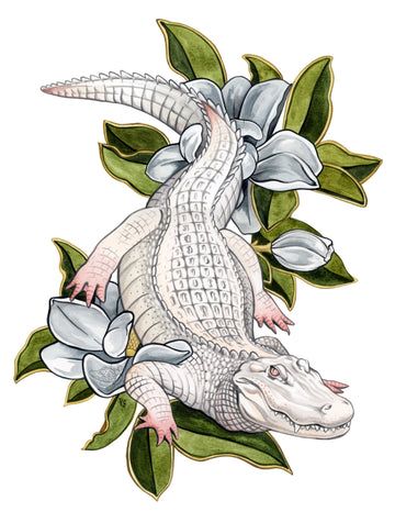 Albino Alligator, Alligator Tattoo, Crocodile Tattoo, Crocodile Illustration, Alligators Art, Magnolia Tattoo, 8x10 Art Prints, Paper Illustration, Black Ink Tattoos