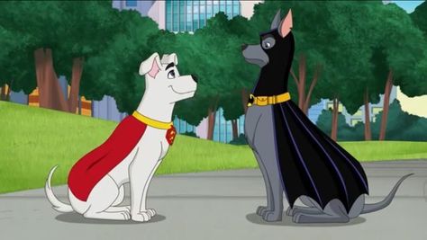 Krypto The Superdog, Batman Dog, Batman Painting, Adopting A Dog, Bat Animal, Bat Girl, Bat Man, Batman And Catwoman, Dc Super Hero Girls