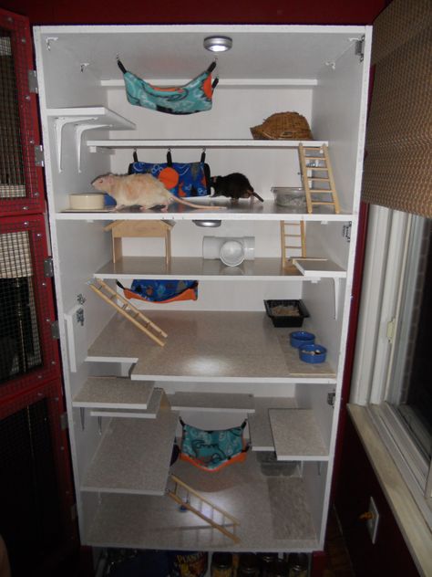 Finished homemade rat cage house!                                                                                                                                                                                 More Diy Rat Cage, Rat Cage Ideas, Rat Cage Diy, Pet Rat Cages, Rat House, Chinchilla Cage, Pet Rodents, Ferret Cage, Baby Rats