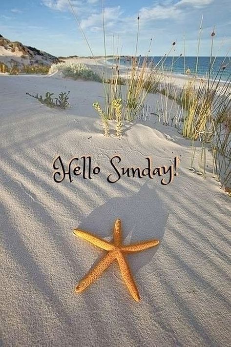 Sunday Morning Humor, Morning Sayings, Happy Sunday Morning, Sunday Morning Quotes, Happy Day Quotes, Fall Beach, Hello Sunday, Good Morning Happy Sunday, Good Morning Sunshine Quotes