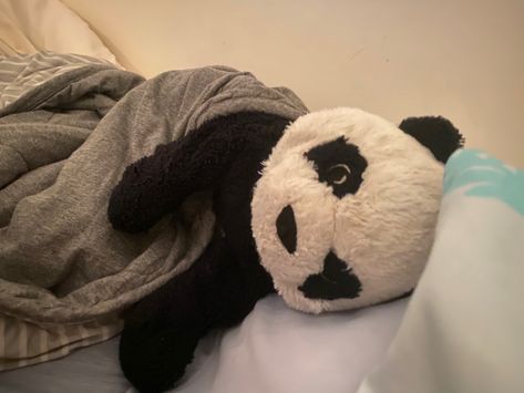 Stuffed Panda Bear, Panda Stuffed Animal Aesthetic, Panda Plushie Aesthetic, Ollie Aesthetic, Panda Plushie, Panda Icon, Panda Teddy Bear, Panda Stuffed Animal, Big Panda