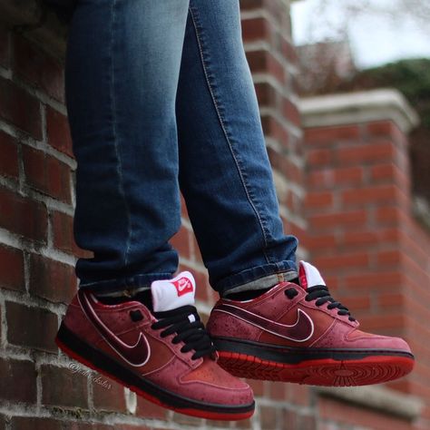 Nike Dunk Low Premium SB "Red Lobster" Nike Sb Stefan Janoski, Shoes Wallpaper, Nike Sb Dunk High, Sneakers Jordans, Shoes Sneakers Jordans, Guy Stuff, Red Lobster, Sb Dunk Low, Nike Sb Dunks Low