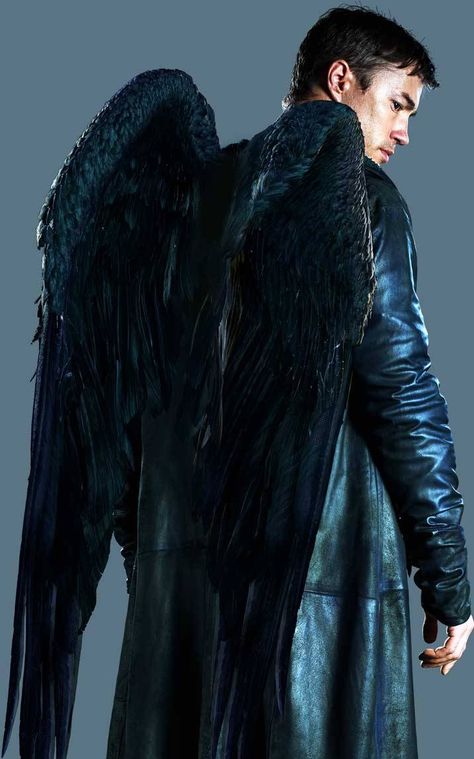 #SaveDaminion #BringDaminionBack Male Fallen Angel, Fallen Angel Costume, Dominion Michael, Tom Wisdom, 천사와 악마, Dominion Syfy, Male Angels, Winged People, Kylo Ren Adam Driver