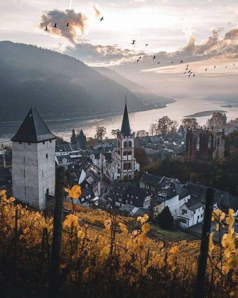 Rhine Valley, Rhine River, Historical Buildings, Beautiful Scenery, Unesco World Heritage, Historic Buildings, Cologne Cathedral, World Heritage, Vines