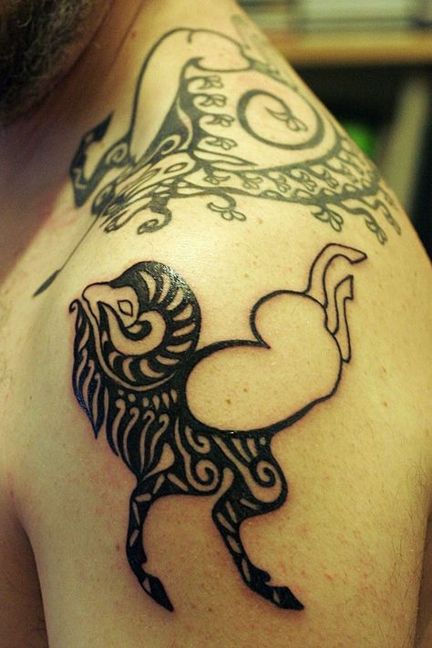 Germanic Tattoos, Picts Tattoo, Scythian Tattoo, Pictish Art, New Tattoo Ideas, Animal Tatoos, Man Tattoos, Historical Tattoos, Horse Archery