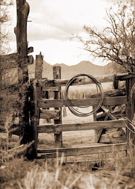 Old Country Aesthetic, Cowboy Background, Country Backdrop, Fence Backdrop, Fence Photography, Background Country, Bison Photo, Horse Background, Cowboy Photography