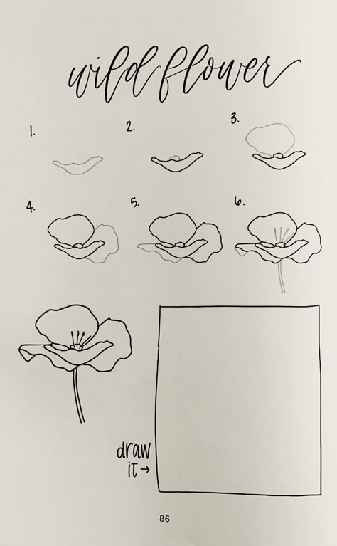 Easy Flower Tutorial Drawing, How To Draw Foliage, Wildflower Drawing Simple, How To Draw Flowers Step By Step, Wildflower Line Drawing, Wildflower Drawings, Hur Man Ritar Blommor, Wildflower Drawing, How To Draw Flowers