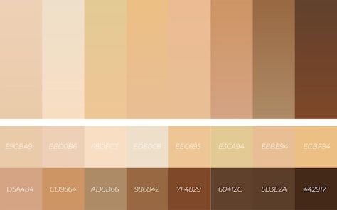 Skin Tone Color Palette, Skin Tone Color, Tone Color Palette, Color Piel, Code Name, Color Schemes Colour Palettes, Stunning Hairstyles, Color Crema, Colors For Skin Tone