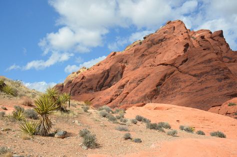 Leave The Strip behind and discover hiking Las Vegas — one of the best activities that Sin City ... Nevada Ghost Towns, Rhyolite Ghost Town, La Hikes, Gorges State Park, Oak Creek Canyon, Great Basin National Park, Red Rock Canyon, Nevada Travel, Nevada Usa