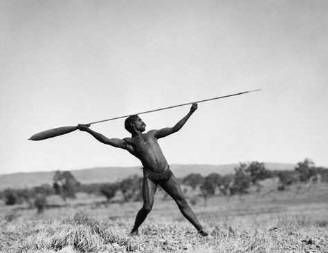 E.O. Hoppé - Aboriginal spear thrower, Central Australia, 1930 Aboriginal Mythology, Aboriginal Culture Australia, Australia Aboriginal People, Stone Age People, Australian Aboriginal History, Spear Thrower, Aboriginal Architecture Australia, Australian Aboriginals, Aboriginal Protest