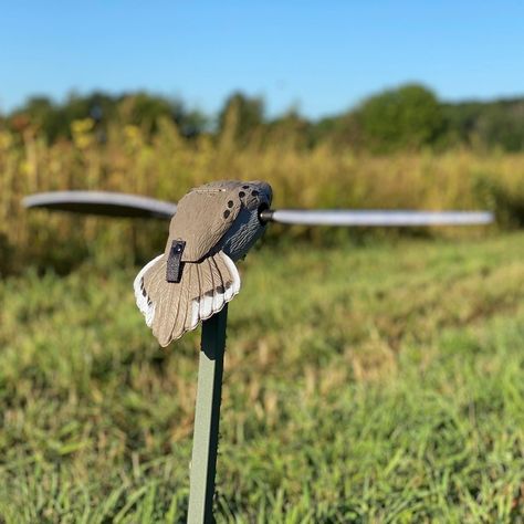 How to Dove Hunt – My First Dove Hunt Being Popular, Camouflage Clothing, Dove Flying, Dove Hunting, Hunting Trip, Sunflower Fields, Beautiful Sunrise, Deer Hunting, Camouflage