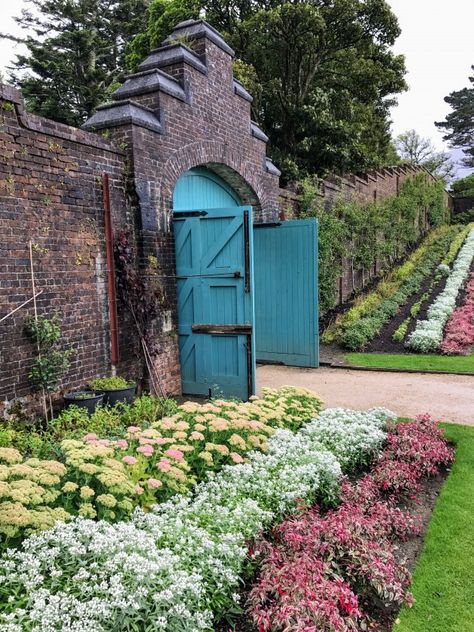 Victorian walled gardens and tropical greenhouses: 6 stunning Irish botanical sites to visit Tropical Greenhouses, Walled Gardens, Irish Garden, Ireland Trip, Victorian Wall, Wall Garden, Public Garden, Gorgeous Gardens, Seasonal Flowers