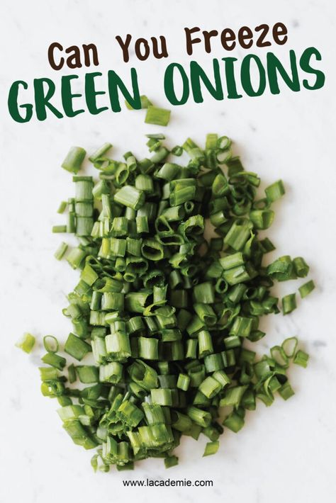 How To Store Green Onions, Freeze Green Onions, Store Green Onions, Freezing Onions, Freezing Food Guide, Onion Storage, Freezing Herbs, Fast Cooking, Recipe Salad