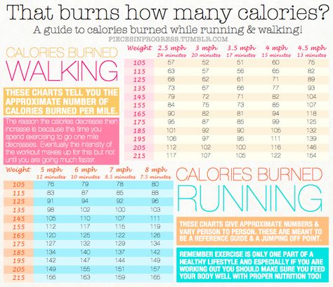 Pieces in Progress: Living fit, healthy, & happy! : Photo Walking Exercise Plan, Thigh Fat Workout, Calories Burned, Healthy Happy, Lose Belly, Lose Belly Fat, Belly Fat, How Many, Walking