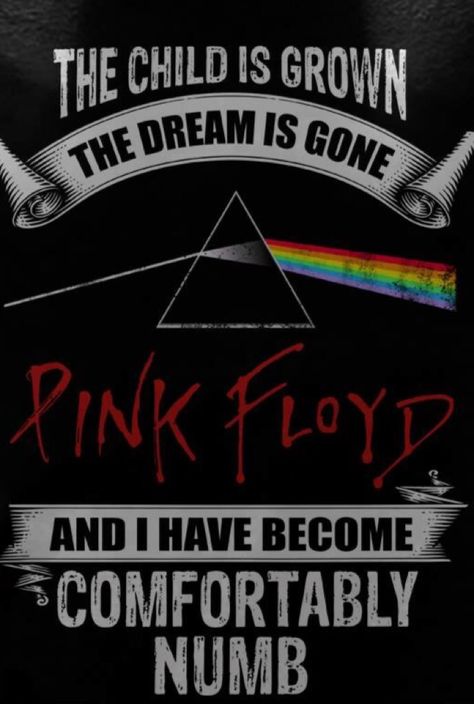 Pink Floyd Birthday Party Ideas, Pink Floyd Painting, Pink Floyd Wallpaper Iphone, Pink Floyd Quotes, Pink Floyd Ideas, Zootopia Coloring Pages, Rock And Roll Quotes, Pink Floyd Wall Art, Pink Floyd Artwork