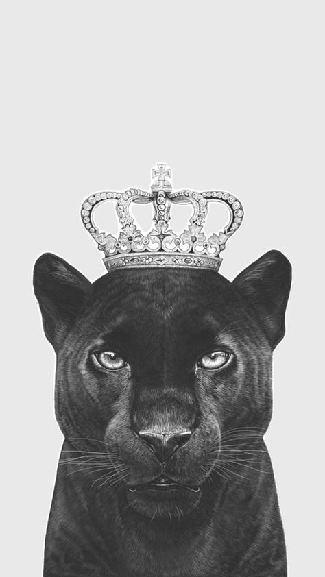 Black Panther Aesthetic, Panther Aesthetic, Black Panther Wallpaper, Panther Wallpaper, Black Panther Cat, Panther Cat, Embroidery Tshirt, Vogue Covers, Shine Bright Like A Diamond