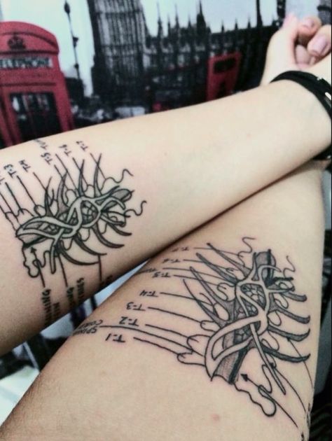 Meredith Grey Tattoo, Greys Anatomy Matching Tattoos, Greys Anatomy Inspired Tattoos, Greys Anatomy Tattoo, Bestie Tattoos, Anatomy Tattoo, Sisters Tattoo, Gray's Anatomy, Bestie Tattoo