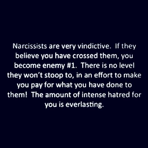 Malicious People Quote, Spiteful People Quotes, Spiteful Quotes, Covert Narc, Narcissistic Family, Narcissism Quotes, People Working Together, Inner Child Healing, Narcissistic Behavior