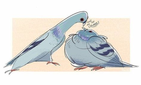 Cute Pigeon, Arte Van Gogh, Parakeets, Silly Animals, Cute Animal Drawings, Cute Doodles, Creature Art, 귀여운 동물, 그림 그리기