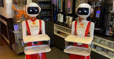 A restaurant in the Netherlands is using creepy robot waiters for social distancing - The Verge Creepy Robot, Robotic Automation, Cool Illusions, Robot Design, Futuristic Technology, Serving Food, Social Distancing, Food Allergies, A Restaurant