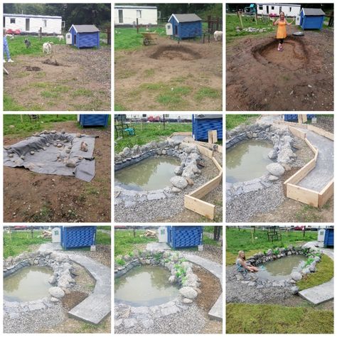 In Ground Duck Pond, Diy Goose Pond, Small Duck Pond Ideas Diy, Duck Pond With Waterfall, Geese Enclosure, Duck Ponds Ideas, Duck Pool Ideas With Drain, Duck Pond Ideas Diy, Diy Duck Ponds Backyard Simple