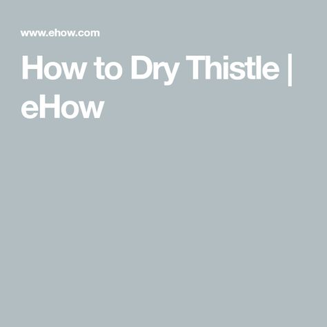 How to Dry Thistle | eHow Thistle Plant, Drying Flowers, Mint Seeds, Small Purple Flowers, Garden Areas, Weeds In Lawn, Grass Flower, Invasive Plants, Thistle Flower