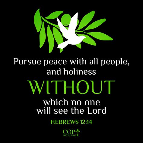 Pursue peace with all people, and holiness, without which no one will see the Lord. Hebrews 12:14 #coptorthodox #bibleverse #bible #bibleversedaily #dailyverse #coptic #orthodox @coptorthodox #pursuepeace #pursuepeacewithallpeople #holiness #holinesswithoutwhichnomanshallseethelord #hebrews #hebrews12 #hebrews1214 #hebrews12v14 Pursue Peace, Philippians 4 7, Hebrews 12, Workout Routines For Women, As Humans, Peace Of God, Guard Your Heart, Daily Verses, Scripture Quotes