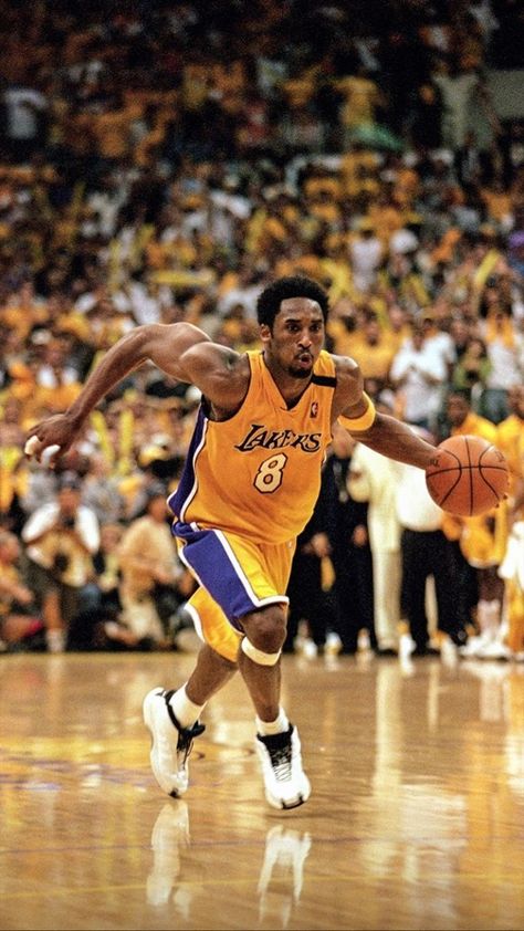 Basketball Kobe, Dear Basketball, Nba Basket, Kobe Bryant Michael Jordan, Sammy Sosa, Kobe Bryant 8, Kobe Bryant Nba, Motivational Photos, Kobe Bryant Pictures