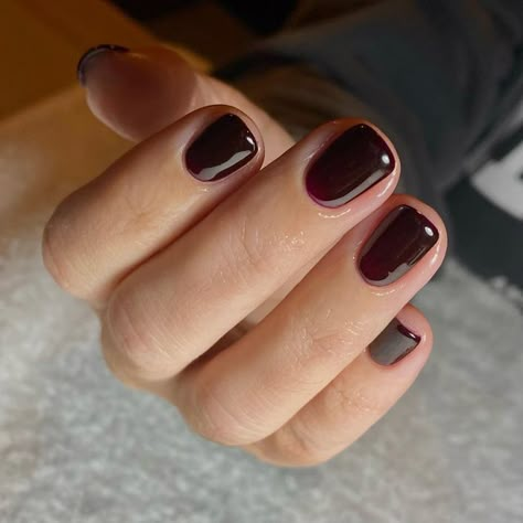 Nail Colour 2023 Trends, Pinotage Nails, Natural Bio Gel Nails, Bio Sculpture Gel Nails Ideas, Bio Sculpture Gel Nails Colours, Casual Winter Nails, Best Winter Nail Colors, Semi Nails, Bio Gel Nails