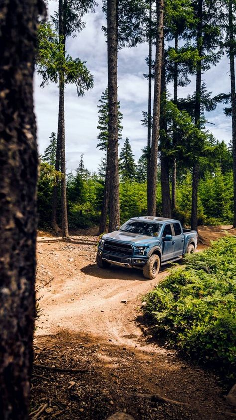 Off Roading Wallpaper, Ford F150 Raptor, F150 Raptor, Ford Ranger Raptor, Ford F 150 Raptor, Dream Cars Jeep, Ford Pickup Trucks, Ford Raptor, Ford Mustang Shelby