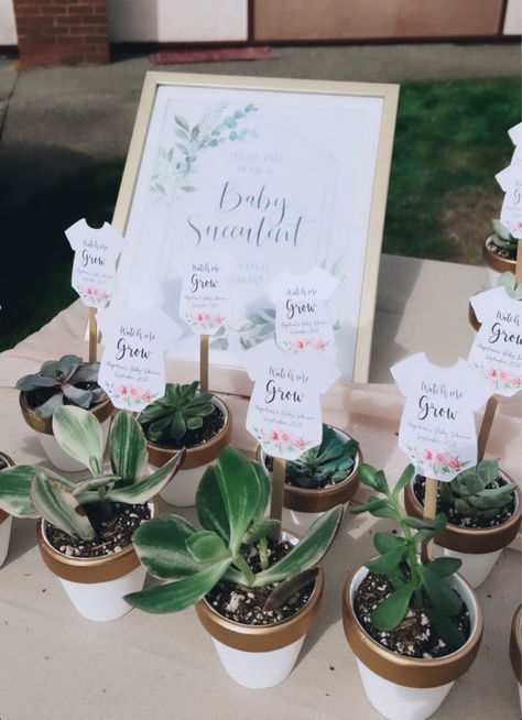 Baby Shower Party Favors Idea. Baby succulents Succulent Baby Shower Favors, Wild Baby Shower, Baby Marvel, Baby Succulents, Shower Party Favors, Succulent Favors, Baby Shower Party Favors, Baby Shower Party, Baby Grows