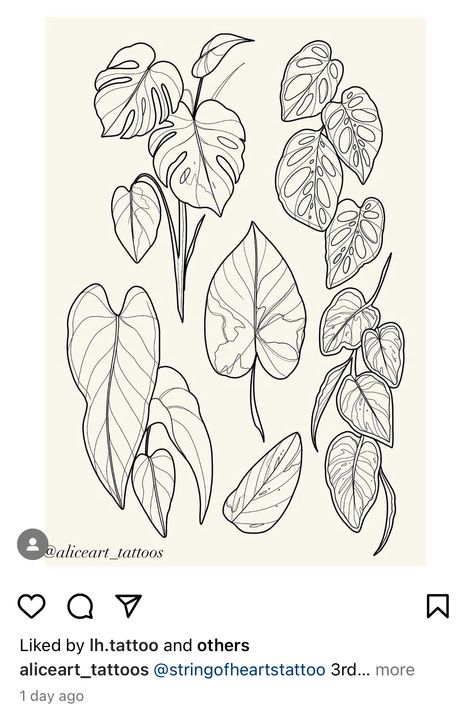 Philodendron Tattoo Design, Plant Tattoo Fine Line, House Plant Tattoos, Alocasia Tattoo, Pothos Drawing, Plant Arm Tattoo, Philodendron Tattoo, Monstera Plant Drawing, Houseplant Tattoo