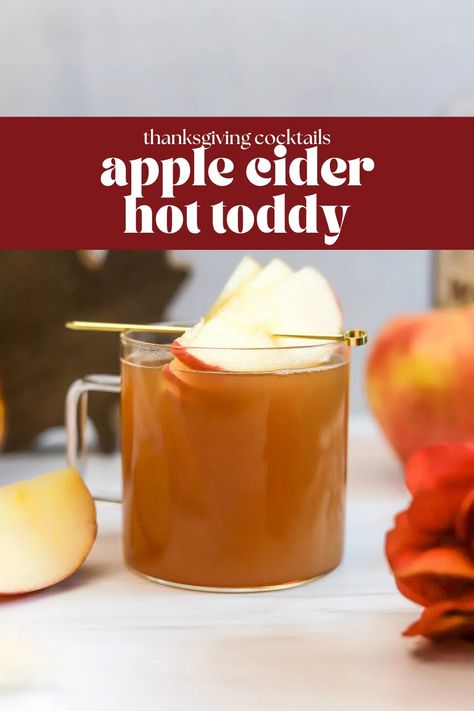 Apple Cider Hot Toddy - bits and bites Apple Cider Hot Toddy Crockpot, Hot Apple Toddy Recipe, Apple Cider Hot Toddy Recipe, Hot Toddy Crockpot Recipe, Apple Cider Toddy, Hot Toddy Recipe Apple Cider, Hottie Toddy Recipe, Classic Hot Toddy Recipe, Hot Apple Cider Cocktail