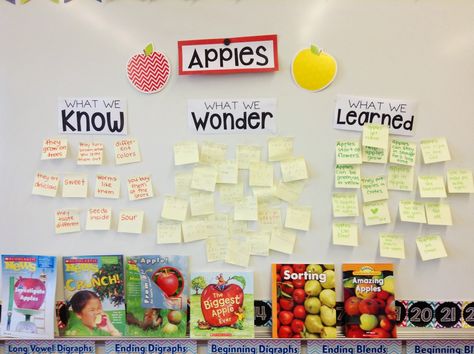 Apple Week and a bunch of Freebies! - Ship Shape Elementary Kwl Chart Kindergarten, Camp Kindergarten, Instructional Activities, Apple Week, Apple Kindergarten, Activities For The Classroom, Wonder Wall, Kwl Chart, Apple Activities