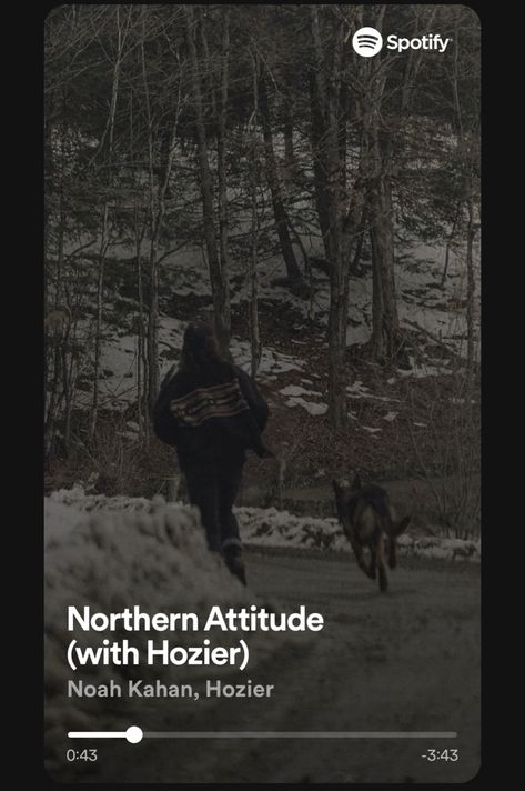 Northern Attitude, 2024 Moodboard, Noah Kahan, Hozier, Wallpapers, Music, Quick Saves