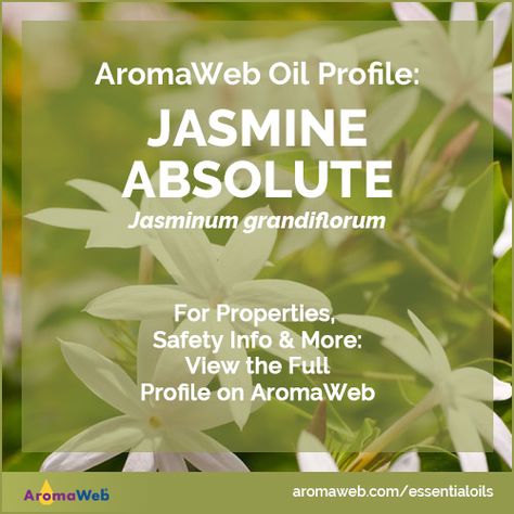 Jasmine Absolute Uses and Benefits | AromaWeb Jasmine Benefits, Grain Alcohol, What To Watch, Healing Arts, Shelf Life, Self Help, Aromatherapy, Essential Oils, Healing