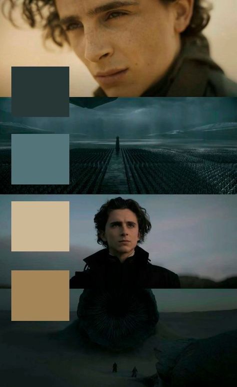 Dune Film, Movie Color Palette, Beautiful Cinematography, Shot Film, Filmmaking Cinematography, Dune Art, Paul Atreides, Color Script, Dream Photography