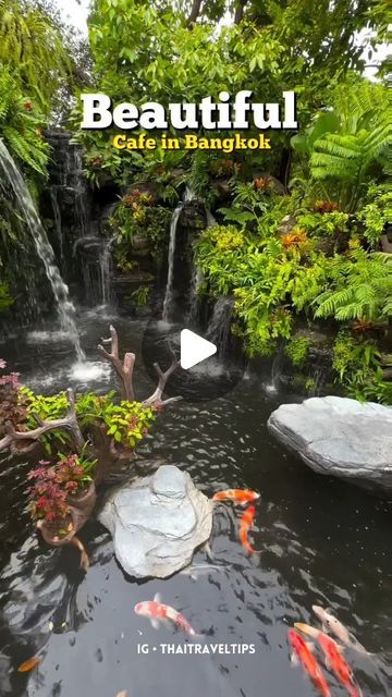 Thailand • Travel • Tips ✈️ on Instagram: "Most Beautiful Cafe in Bangkok📌   Wild Duck Cafe in Minburi Bangkok is one of the Most Beautiful Cafe in Bangkok Thailand 🇹🇭. Cafe is full of nature and Duck and waterfalls. This is one of three most romantic Cafes in Thailand.   If you are coming to Bangkok and looking for relaxing and enjoying this cafe must be in your list.   Save this for your trip to Thailand !! 📍   Follow @thaitraveltips for more amazing contents about thailand 🇹🇭⠀  .  Credits : @  .  #bangkok #bangkokthailand #bangkokcafe #bangkokfood #thailandtravel #bangkoktrip #thailandtravel #thailand  #café #tailand  #thailandtravel #phuket #goldfishlove #funactivities" Thailand Cafe, Beautiful Cafe, Bangkok Food, Trip To Thailand, Thailand Travel Tips, Wild Duck, Bangkok Travel, Cool Cafe, Bangkok Thailand