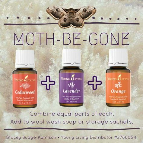 Keep moths away by either putting a drop of each oil in the washer or by adding these essential oils to a sachet to put where you store your wools. Holistic Gardening, Getting Rid Of Moths, Yarn Business, Young Living Essential Oils Recipes, Essential Oil Diffuser Recipes, Oil Diffuser Recipes, Yl Essential Oils, Government Grants, Diy Oils