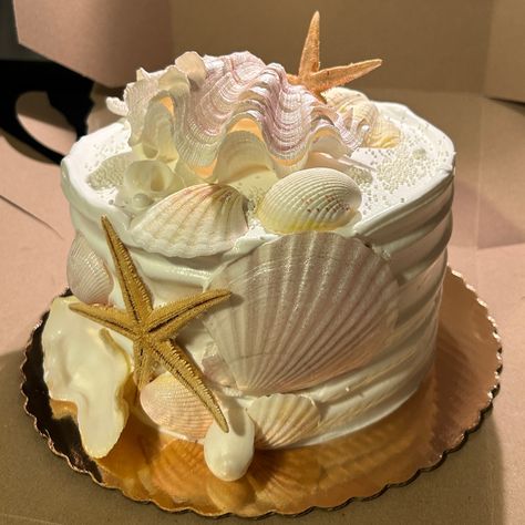 Summer Bday Cake, Seashell Birthday Cake, Summer Birthday Cakes, White Cake Ideas, Beachy Cake, Coastal Cake, Ocean Themed Cake, Beach Theme Cake, Shell Cake