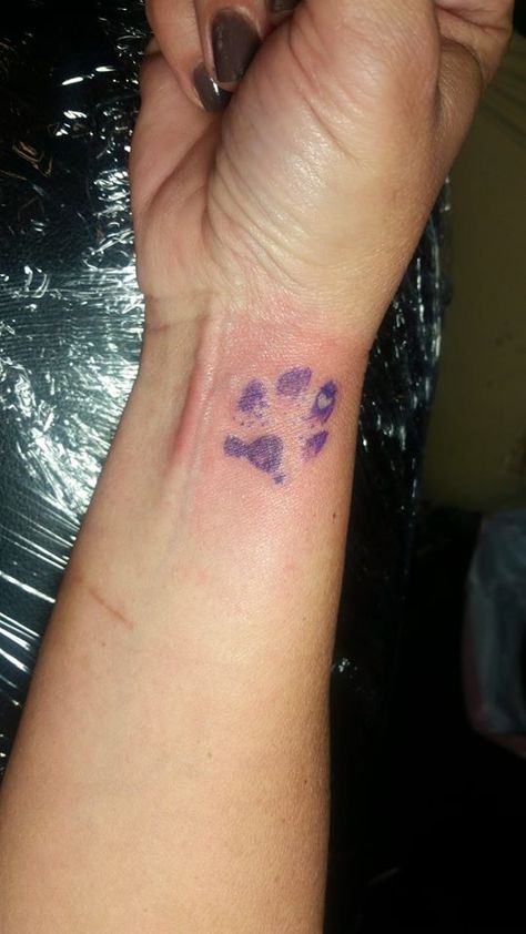 Cat Paw Hand Tattoo, Dog Paw Wrist Tattoo, Tattoo Paws Dog, Cute Puppy Tattoo, Paw Print Tattoo On Wrist, Dog Paw Tattoo Placement, Dog Pawprint Tattoo Ideas, Dog Tattoo Wrist, Pink Paw Print Tattoo