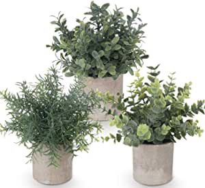 Potted Plants Indoor, Fake Potted Plants, Rosemary Plant, Plants For Home, Plastic Plant Pots, Fake Succulents, Artificial Potted Plants, Small Potted Plants, Mini Succulents